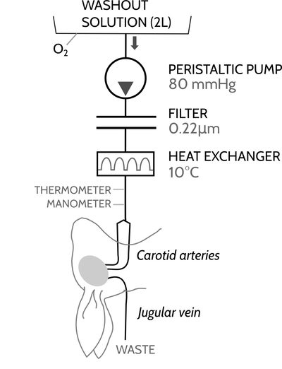 figure-01-washout.jpg