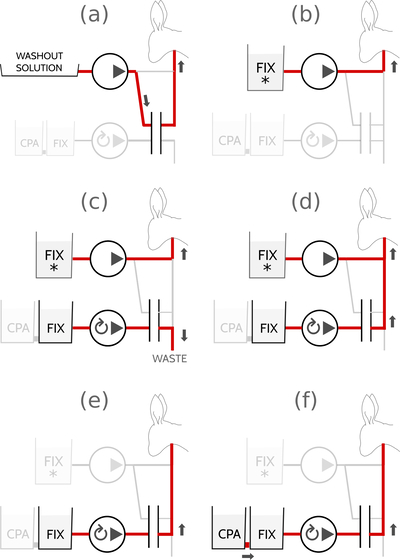 figure-03-switchover.jpg